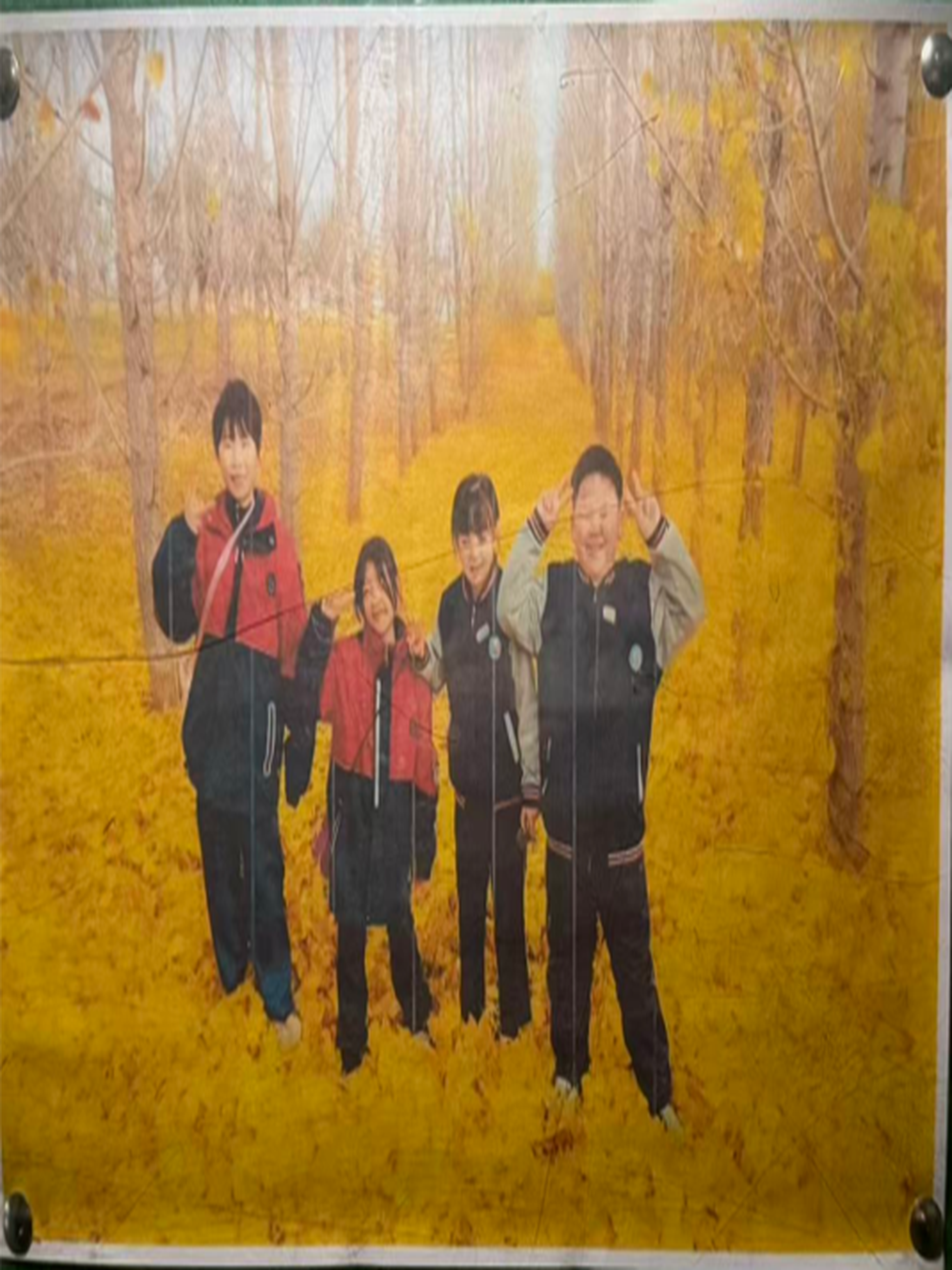 立德精英学员风采
